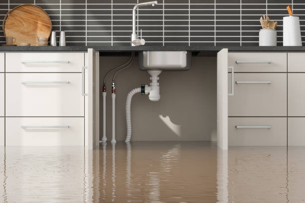 Trusted HI Water damage restoration Experts